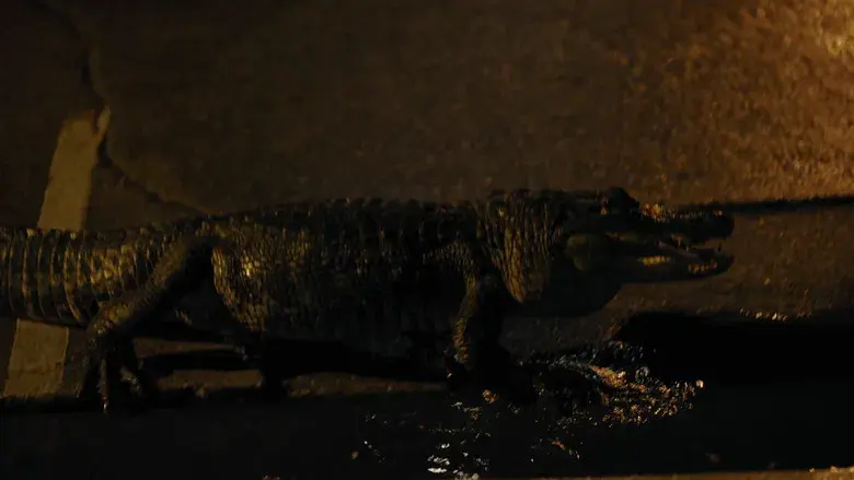 Los chicos de la Nickel - Fondo