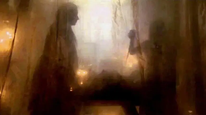 Somos lo que hay - Fondo