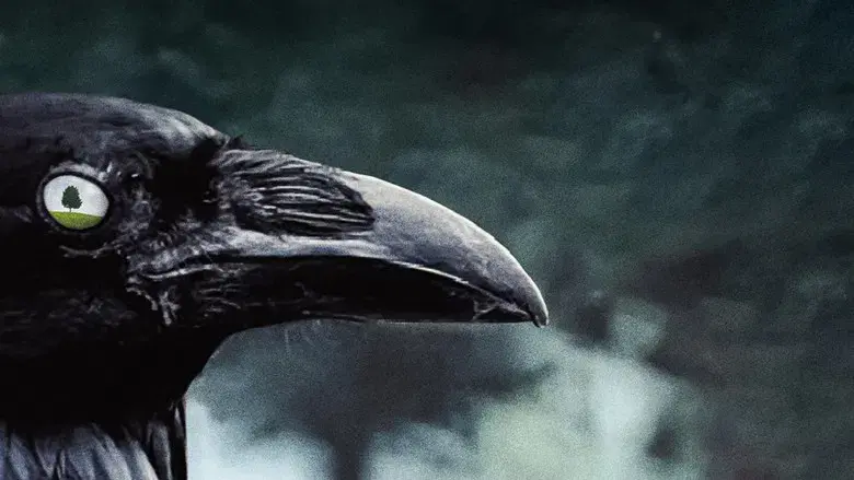 A dos metros bajo tierra - Fondo