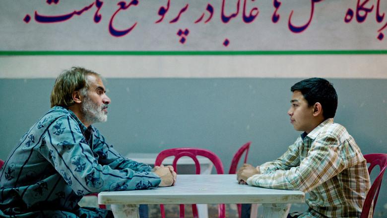 Araña sagrada - Fondo