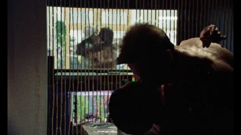 Mi hermosa lavandería - Fondo