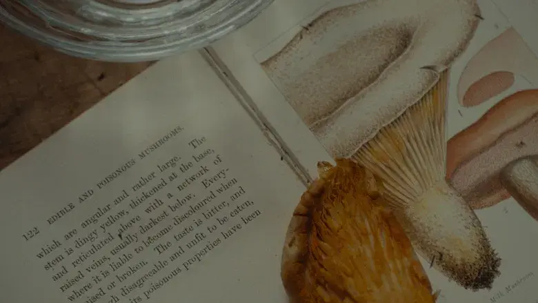 El hilo invisible - Fondo