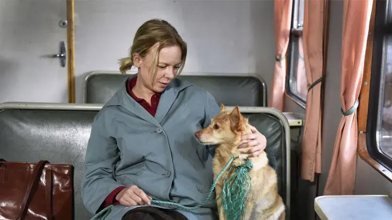 Fallen Leaves - Fondo