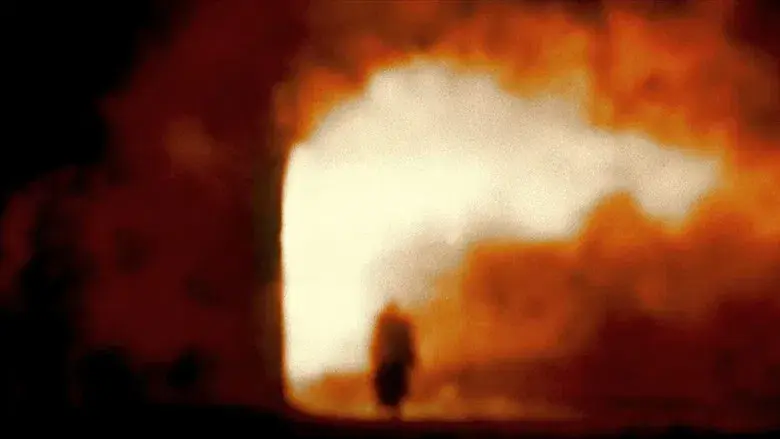 Mothman, la última profecía - Fondo