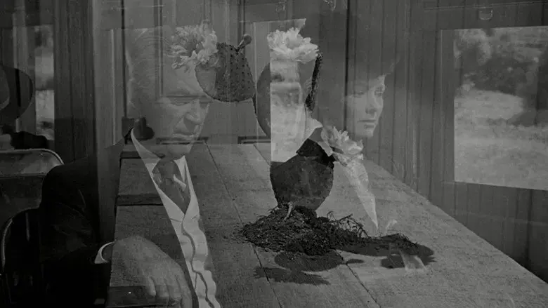 El hombre que mató a Liberty Valance - Fondo