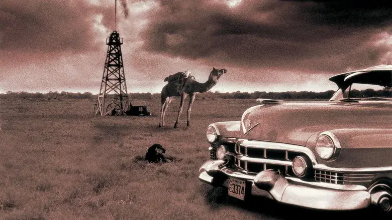 Un funeral en Texas - Fondo