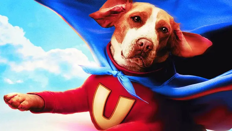 Superdog - Fondo