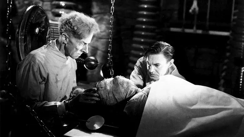 La novia de Frankenstein - Fondo