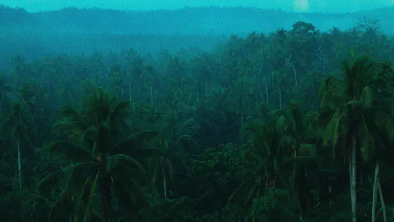 Días salvajes - Fondo