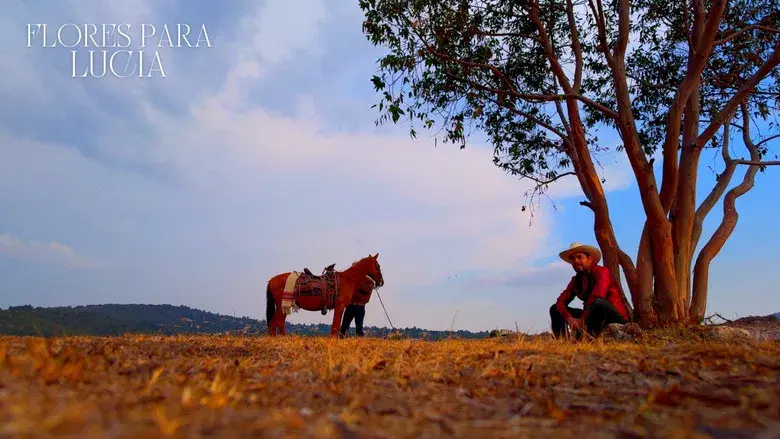 Flores para lucia - Fondo