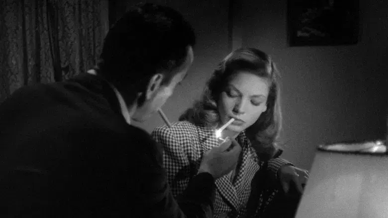 Tener y no tener - Fondo