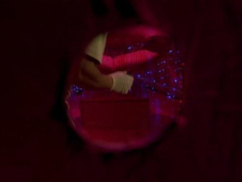 Indicios de cosas invisibles