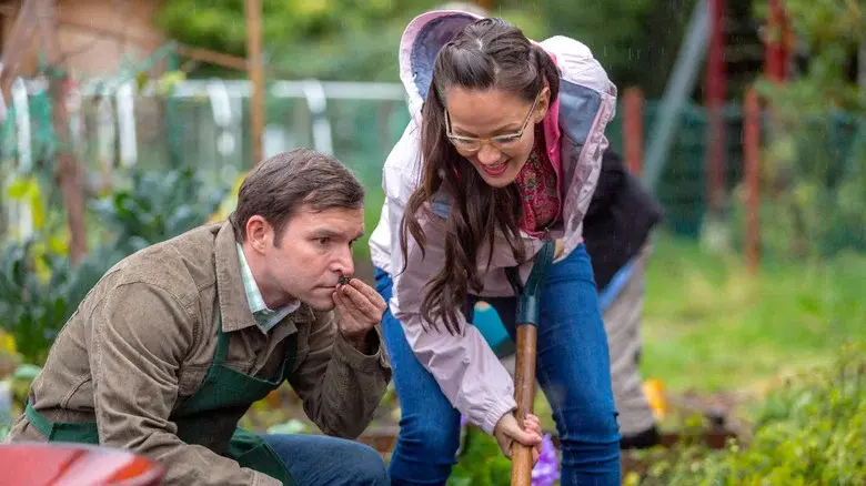 Signed, Sealed, Delivered: Higher Ground - Fondo