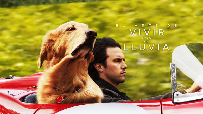 El arte de vivir bajo la lluvia - Fondo