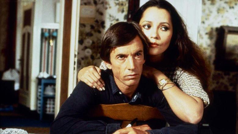 Patos Salvajes 2 - Fondo