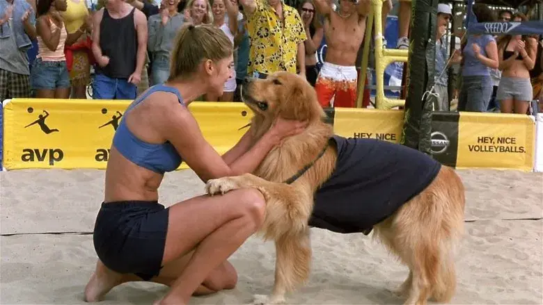 Air Bud 5: Golpea de Nuevo - Fondo