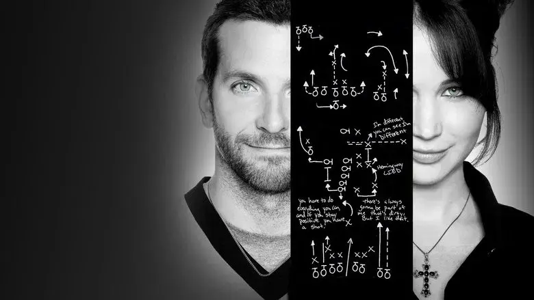 El lado bueno de las cosas - Fondo