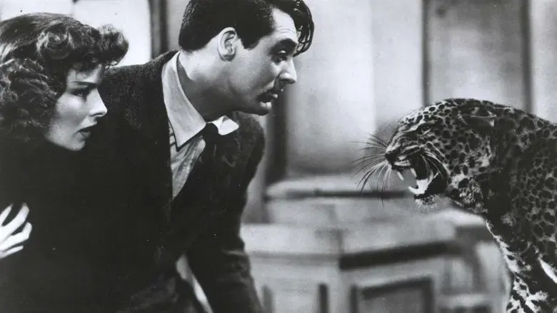 La fiera de mi niña - Fondo