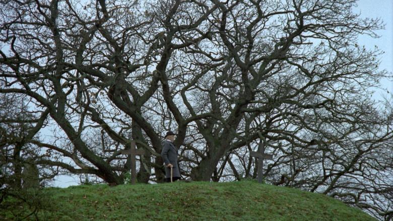 La nueva tierra - Fondo