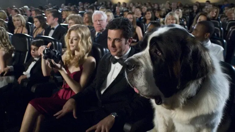 Beethoven: La gran oportunidad - Fondo