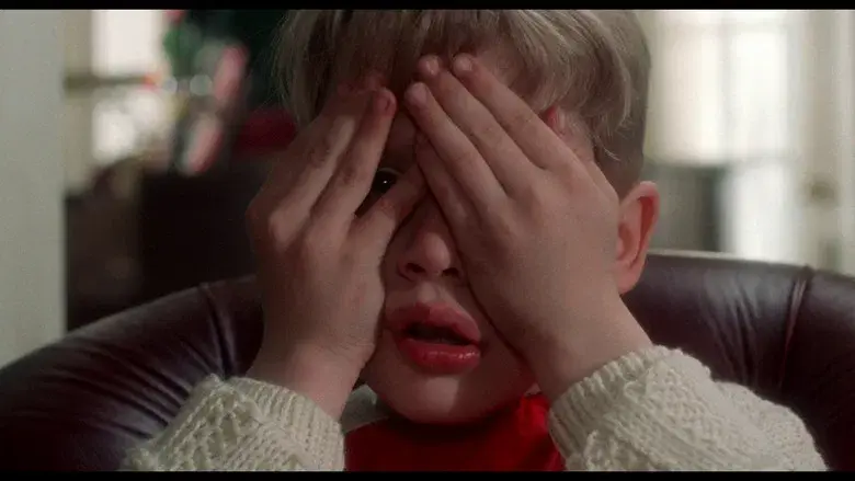 Solo en casa - Fondo