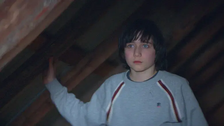 Anatomía de una caída - Fondo