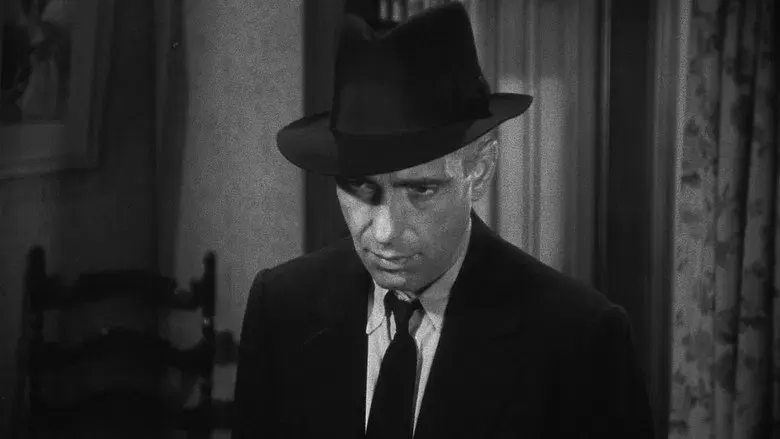 El último refugio - Fondo