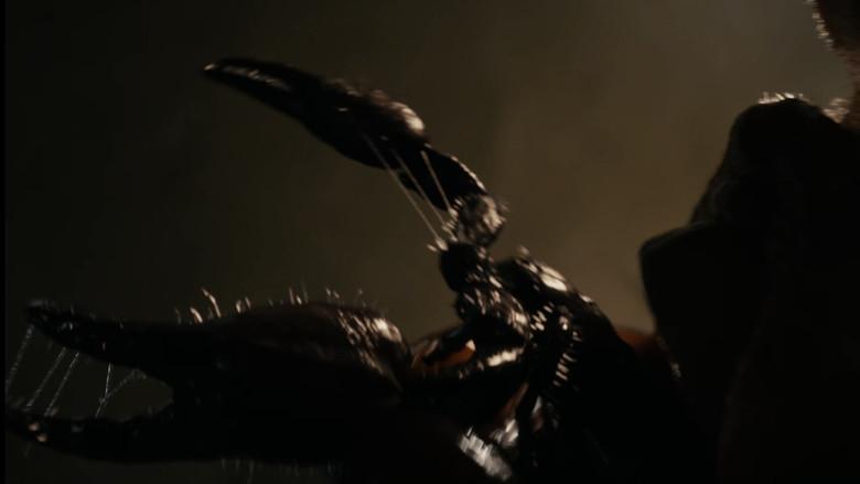 La momia de Lee Cronin - Fondo