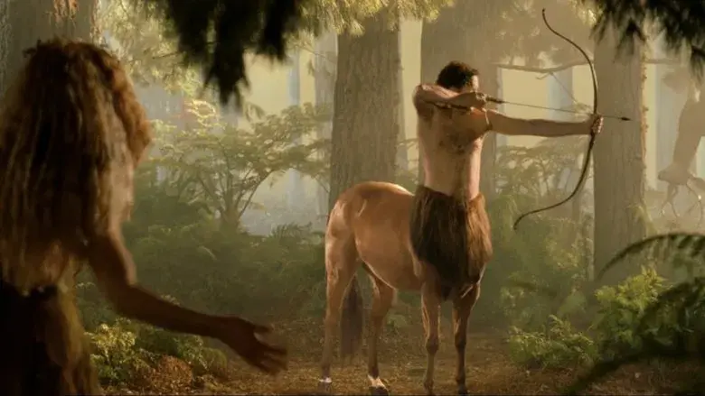 Hermanos por pelotas - Fondo