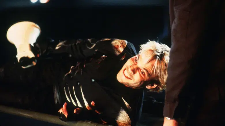 Cecil B. Demente - Fondo