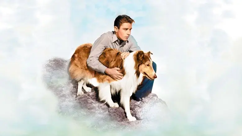El cachorro de Lassie - Fondo