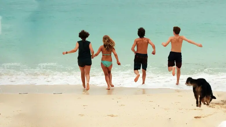 Los cinco y la isla del tesoro - Fondo