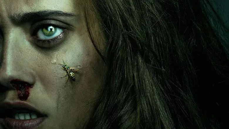 Yellowjackets - Fondo