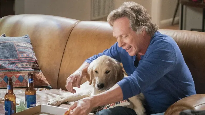 Confeti por teléfono y un minipito