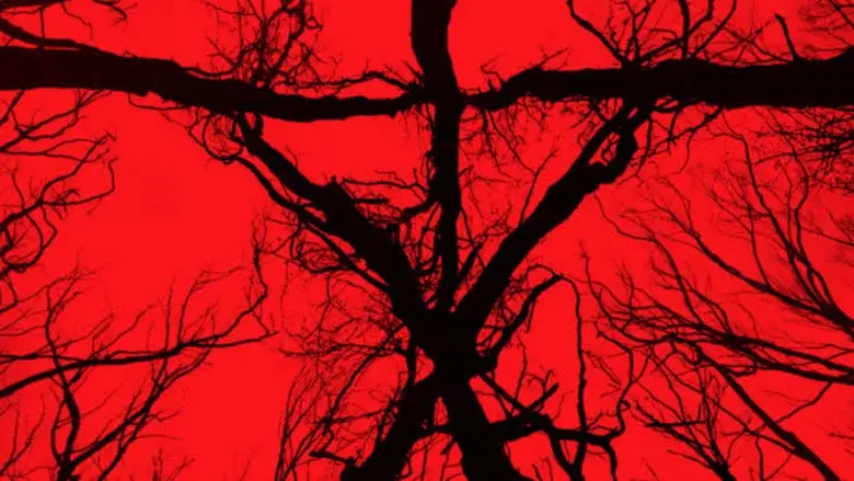 Blair Witch - Fondo