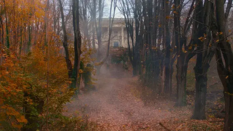 El gran showman - Fondo