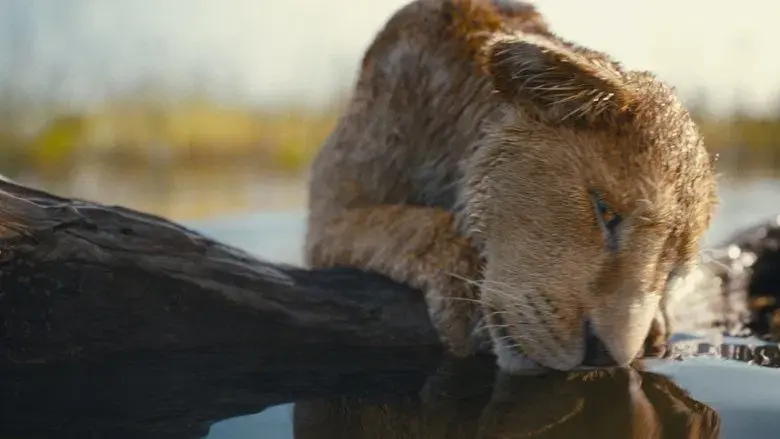 Mufasa: El rey león - Fondo