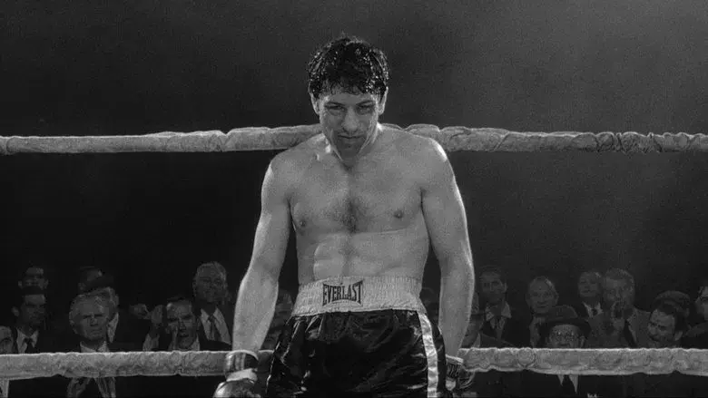 Toro salvaje - Fondo