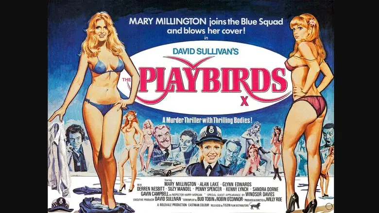 The Playbirds - Fondo