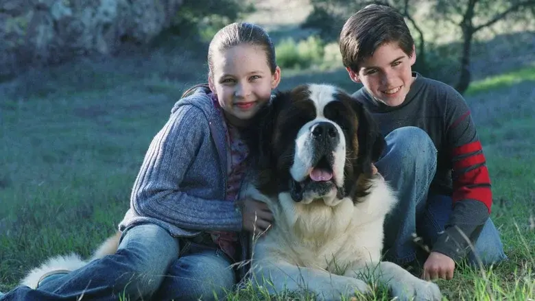 Beethoven 5: El perro buscatesoros - Fondo
