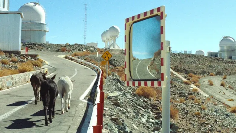 Perfectly a strangeness - Fondo