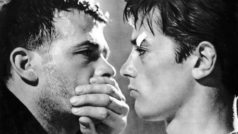 Rocco y sus hermanos - Fondo