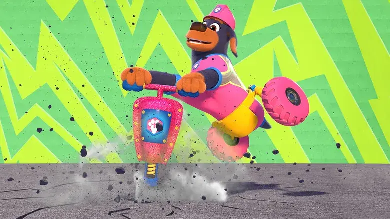 Cachorros a la Obra - Fondo