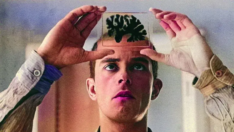 Hombre mirando al sudeste - Fondo