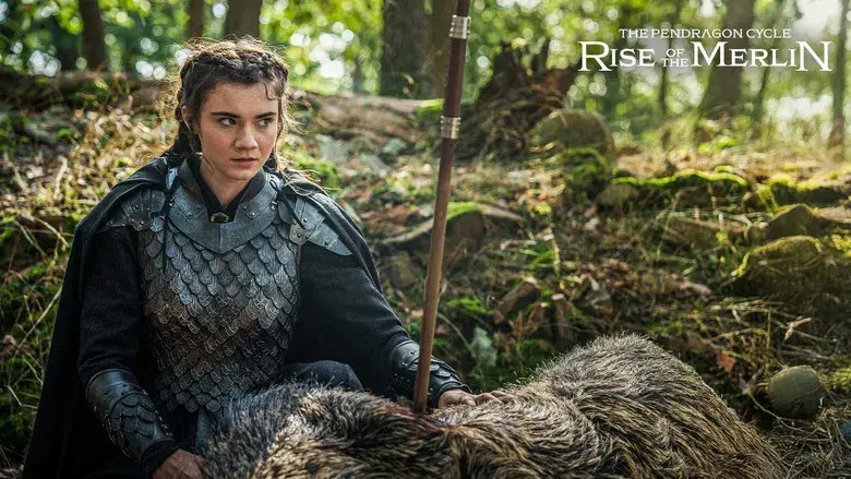 The Pendragon Cycle: Rise of the Merlin - Fondo