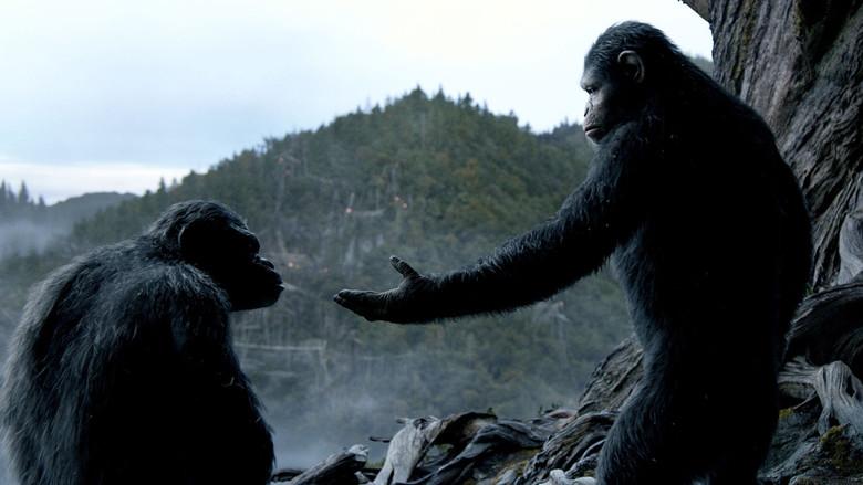 El amanecer del planeta de los simios - Fondo