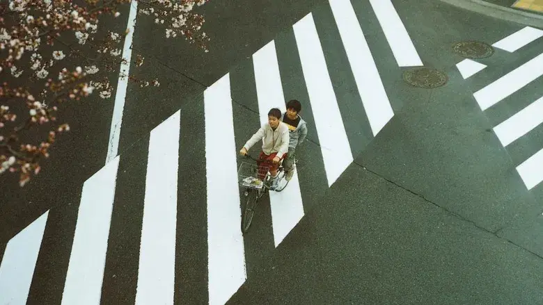 Nobody Knows - Backdrop