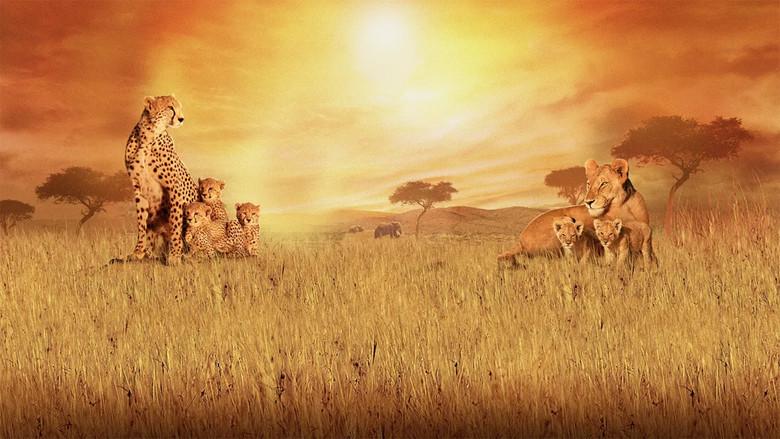 Grandes felinos africanos: el reino del coraje - Fondo