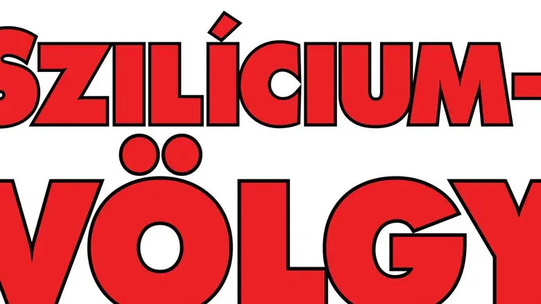 Silicon Valley - Fondo