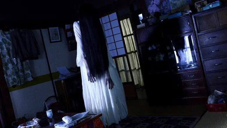 Sadako vs. Kayako - Fondo